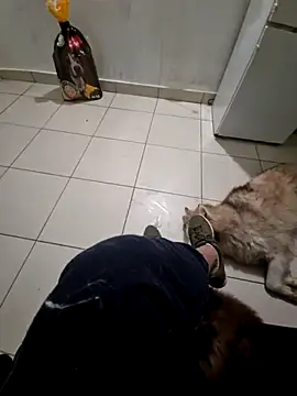 Snapshot of RITAEGIH chatting on March 2026 08:05:01 PM RITAEGIH online show from March 2026 08:05:01 PM