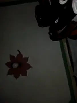 honeypot224 online show from March 2026 03:57:01 AM