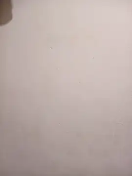 honeypot224 online show from April 2026 03:19:01 AM