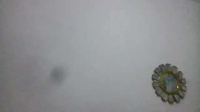 BWW-CINDY11 online show from February 2026 09:04:02 PM