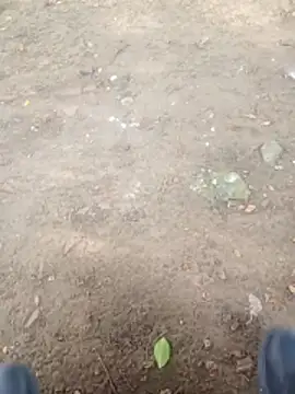 Snapshot of Jeison0323 chatting on January 2026 08:49:02 PM Jeison0323 online show from January 2026 08:49:02 PM