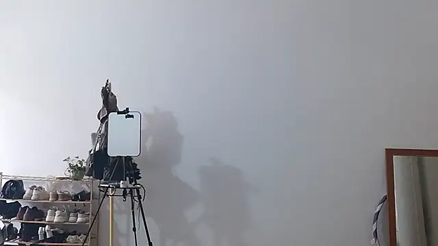 adele8731 online show from January 2026 03:02:01 AM