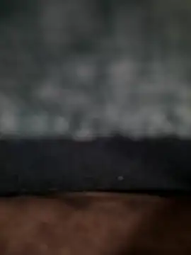 Snapshot of karrodu123 chatting on November 2025 05:23:01 AM karrodu123 online show from November 2025 05:23:01 AM