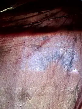 WizzyQ online show from February 2026 10:24:02 AM