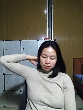 Cat-meow online show from March 2026 02:53:01 PM