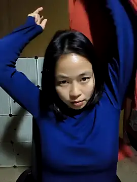 Cat-meow online show from December 2025 01:33:02 PM