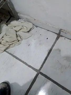 Paugostoso270515 online show from April 2026 03:19:01 PM