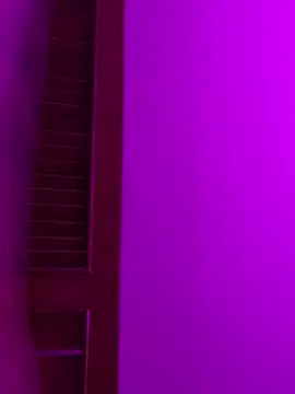 Dannii- online show from April 2026 12:59:02 AM