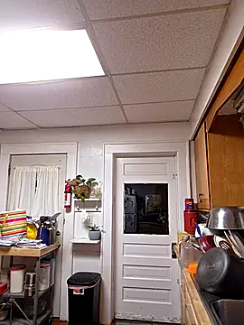 TheOneDonShaun online show from April 2026 01:56:01 AM