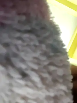 Minakshi-Gi online show from February 2026 07:32:02 PM