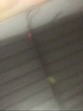 sexguruxxx online show from November 2025 02:39:02 PM