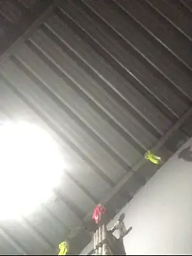 sexguruxxx online show from January 2026 11:11:02 PM