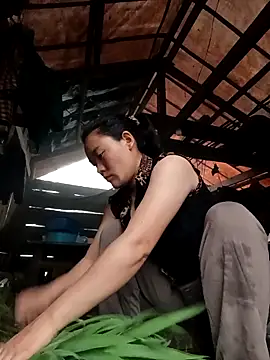 meomeo-00 online show from April 2026 10:39:01 AM