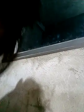 Ava-120 online show from February 2026 03:09:01 PM