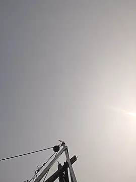 Cover-baa online show from March 2026 07:39:01 AM