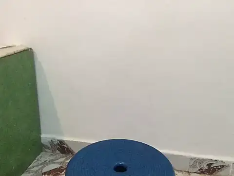 raveena hot online show from March 2026 01:25:02 PM