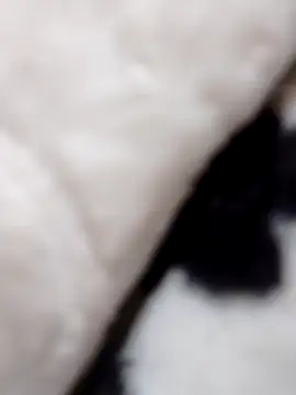 fati35flou online show from December 2025 06:42:02 PM