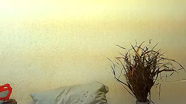 BrunetteNaomi8 online show from July 2026 08:02:01 PM