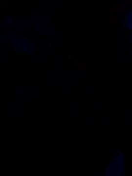 cutestpearl online show from January 2026 04:44:01 PM