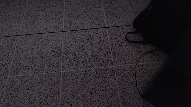 Snapshot of Dio__morningstar chatting on April 2026 12:20:01 PM Dio morningstar online show from April 2026 12:20:01 PM