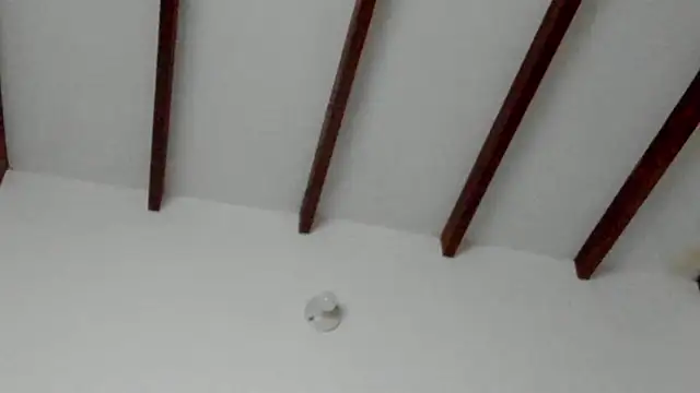 Snapshot of Dio__morningstar chatting on February 2026 09:34:02 PM Dio morningstar online show from February 2026 09:34:02 PM