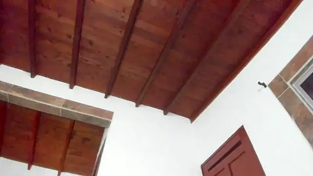 Jave rave online show from March 2026 03:41:02 AM