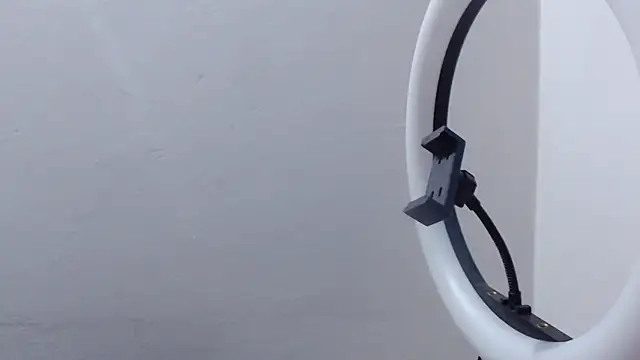 Jave rave online show from March 2026 03:29:01 AM