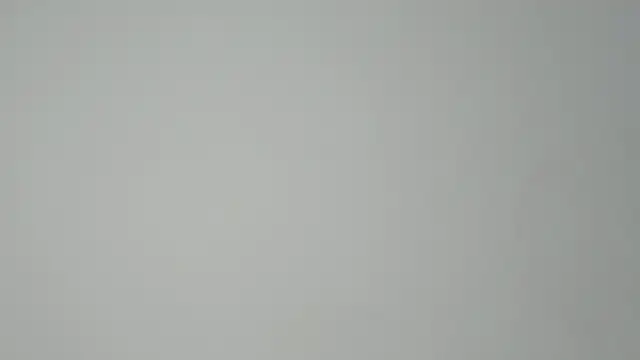 kendall x0 online show from February 2026 02:44:02 AM