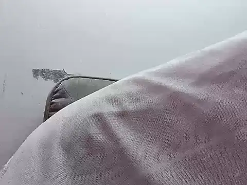 Binnky online show from April 2026 02:29:02 AM