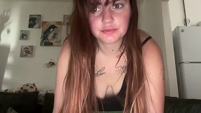 loserlexxx online show from February 2026 09:12:01 PM