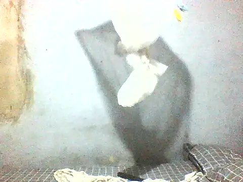 fuckdigg online show from January 2026 01:45:02 AM