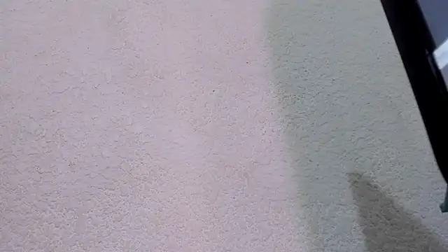 Snapshot of ebonycamelia chatting on November 2025 11:47:01 PM ebonycamelia online show from November 2025 11:47:01 PM