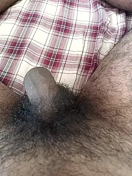 tamilbbc1 online show from November 2025 05:51:02 AM