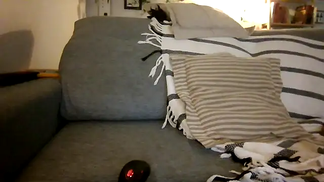 Snapshot of xxxluana chatting on December 2025 04:02:02 AM xxxluana online show from December 2025 04:02:02 AM