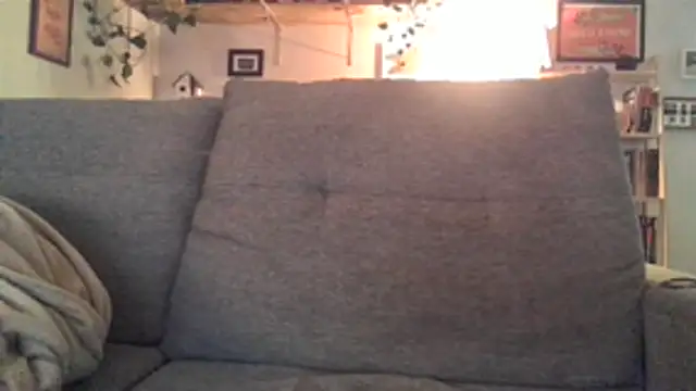 xxxluana online show from February 2026 10:42:02 PM