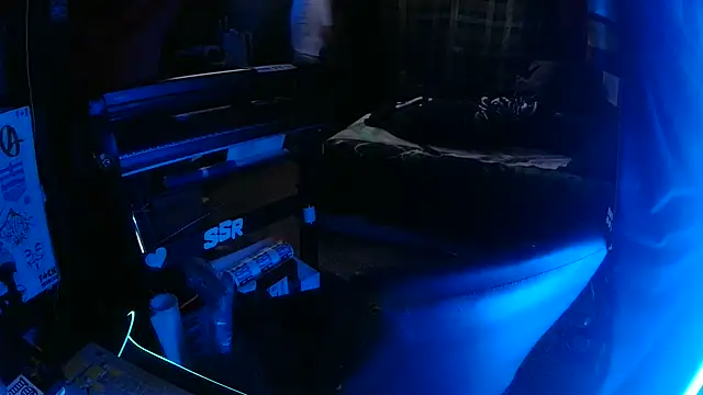 Bowerboi online show from November 2025 10:32:01 PM