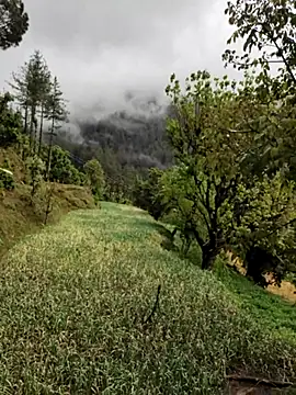 Cute Lucky online show from April 2026 06:15:01 AM