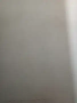 Reema 143 online show from December 2025 02:21:02 PM