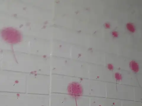 Kim mon online show from November 2025 02:17:02 PM