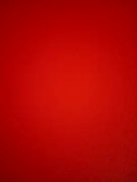 Bold Quinn online show from March 2026 05:25:02 PM