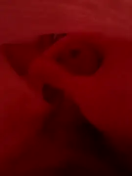 Kingaandqueenn online show from December 2025 09:03:01 AM