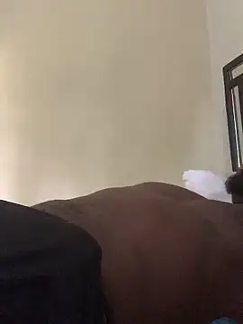 laperson online show from April 2026 11:39:01 AM