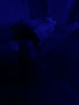 darknebula80 online show from February 2026 09:14:01 PM