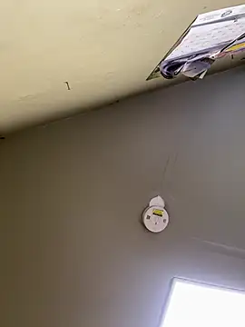 24denio online show from March 2026 01:49:01 PM