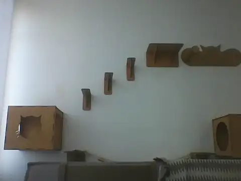 Temp7 online show from March 2026 11:16:02 AM