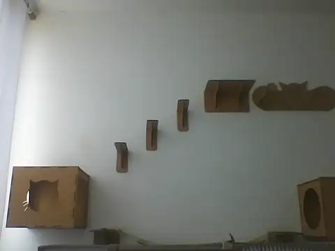 Temp7 online show from March 2026 02:46:02 PM