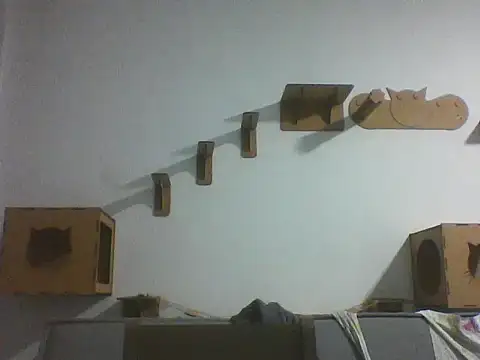 Temp7 online show from February 2026 11:48:01 PM