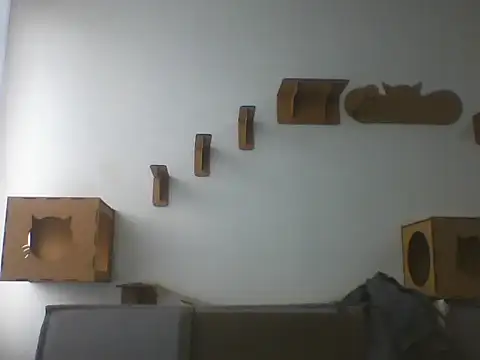 Temp7 online show from February 2026 01:24:01 PM