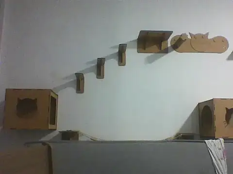 Temp7 online show from February 2026 01:29:01 AM