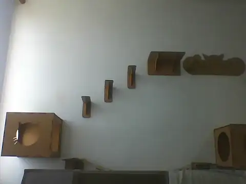Temp7 online show from March 2026 12:10:02 PM
